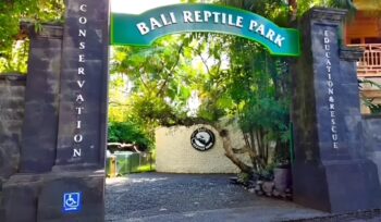 Pesona Reptile Park Bali