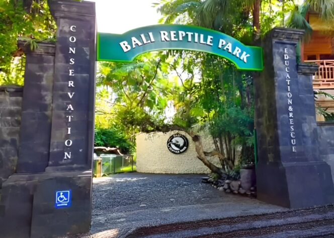 
Pesona Reptile Park Bali | Instagram @balireptilepark