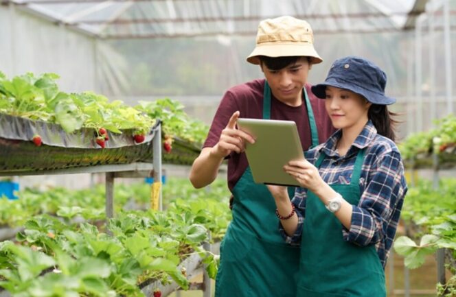 
Petani Milenial | Photo by Anugrah Dwian : umsu.ac.id