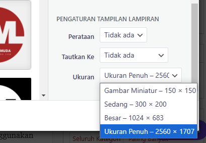 Panduan ukuran saat upload gambar